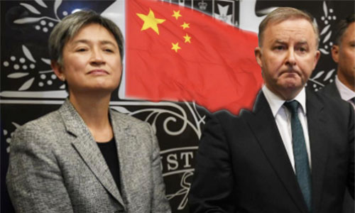 Wong, Albo back Team China