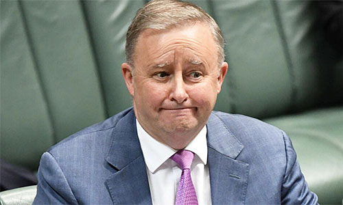 Albo squeals over voter fraud crackdown