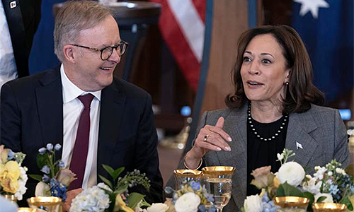 Albo mirrors Kamala’s chaos