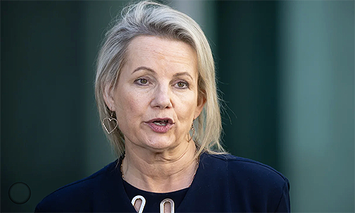 Sussan Ley: ‘Albo in high heals’