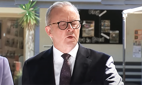 Albo prescribes poison – not medicine
