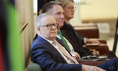 Poverty is Albo’s only plan