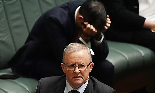 The crippling cost of Albo