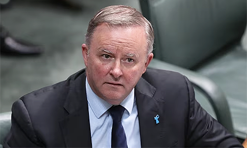 Albanese a ‘net-zero’ goose