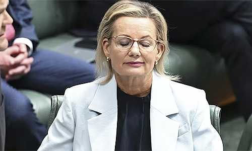 Disgruntled youth are Libs’ last hope
