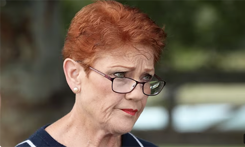 Pauline to dismantle gay Australia