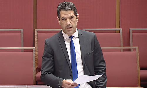 Lib axed after exposing ‘demonic’ feminists