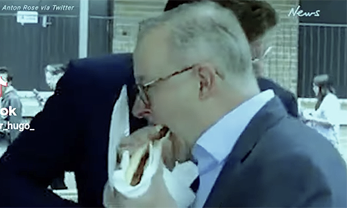 Eat Bugs: Pro-Islam Albo doesn’t care