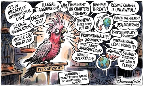 Every galah’s now an expert in international law