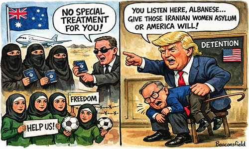 Shamed by Trump, Albo finds a micro spine