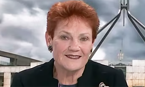 Liberals have fallen, long live One Nation