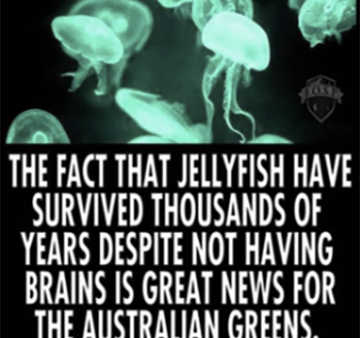 Braindead Greens