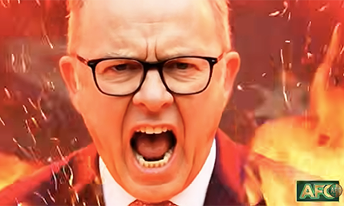 Glass jaw Albo’s administration in chaos