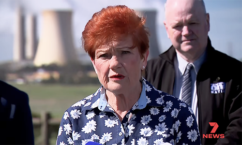 Pauline can’t be worse than this lot