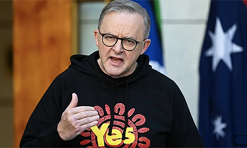Albo abandoned Aborigines because of No vote